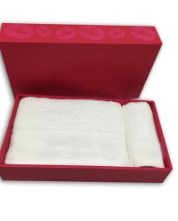 TWLP010  Order towel box  design hotel towel box  make towel box towel box specialist vendor back view